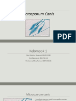 Microsporum Canis-1