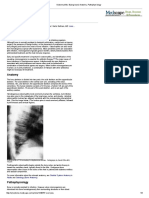 Osteomyelitis - Background, Anatomy, Pathophysiology