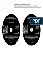 Departamento de Ingeniería Nurr-Ula. Caratula para La Presentación Del Teg: Rotulado en Formato CD/DVD