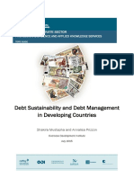 EPS PEAKS Topic Guide Debt Sustainability and Debt Management in Developing Countries