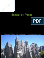 Bosque de Piedra 1.pps