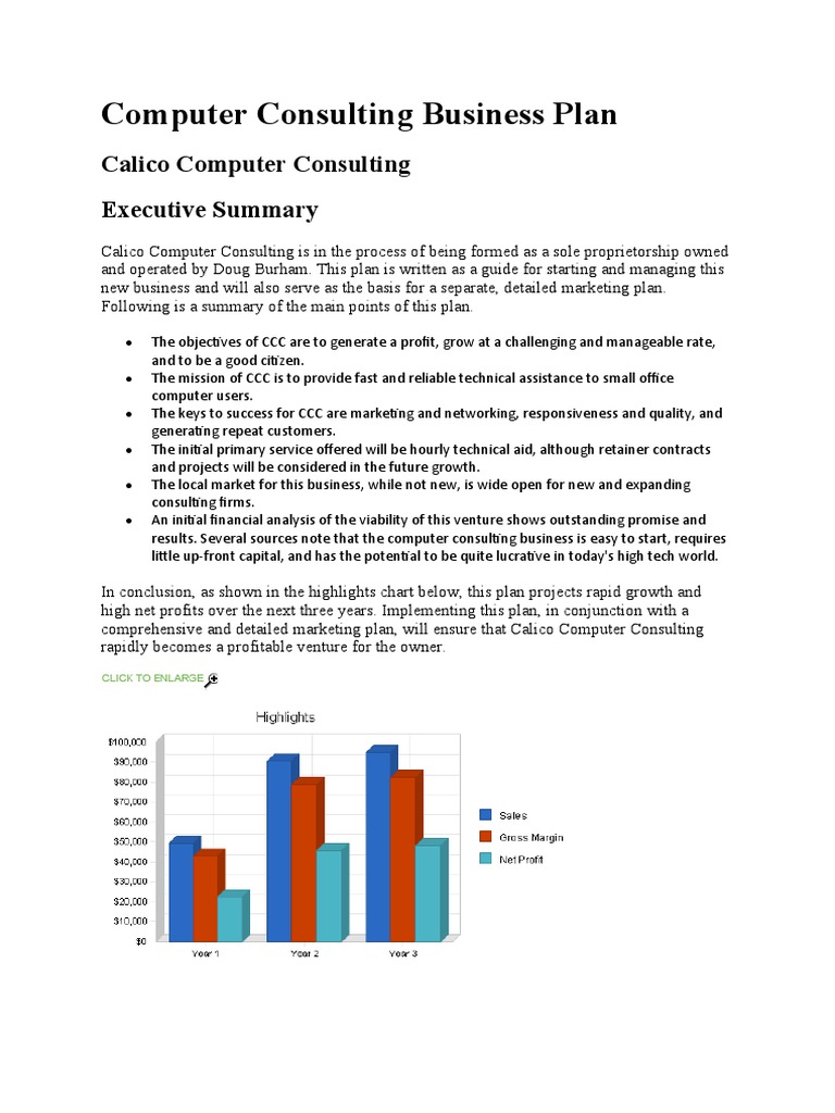 computer consulting business plan