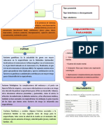 ESQUIZOFRENIA PARANOIDE DIAGNOSTICO