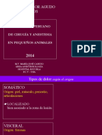 Dolor GATOS PDF