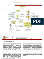 Lectura Efectos Determinísticos