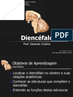 Neuroanatomia funcional do diencéfalo