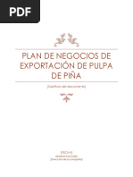Plan de Negocios de Exportación PIÑA FINAL
