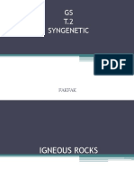 t2 Fakfak 13 Syngenetic Structures