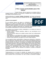 Econegociosperu.pdf