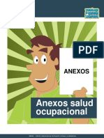 Anexos Salud Ocupacional PDF