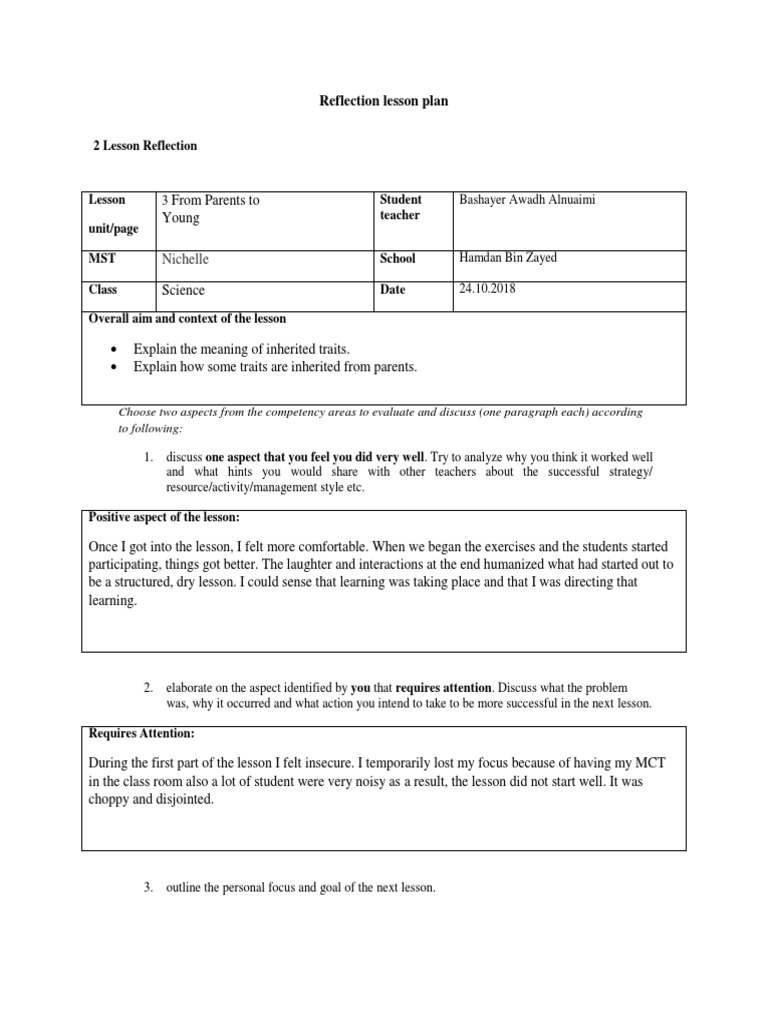 Reflection Lesson Plan 2 | PDF