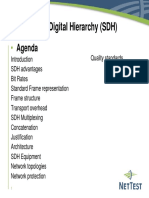 sdh.pdf