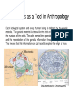 4.1. Genetics As A Tool in Anthropology: Mitochondria