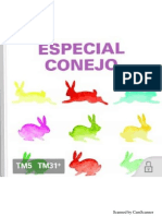 Especial Conejo