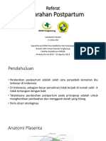 Referat PPH.pptx