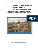 Plan Pilpichaca 2018