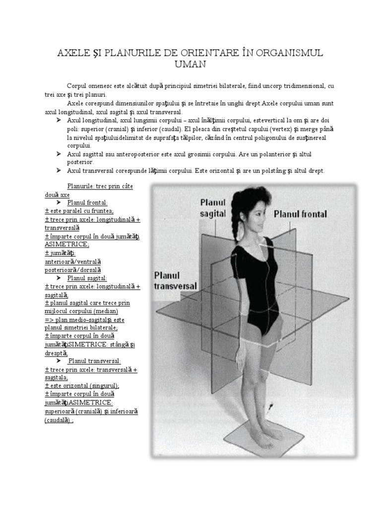 Axele Si Planurile De Orientare In Organismul Uman