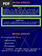 Aula7SetorBGruposAnimaisePoríferoseCnidários3ºEM