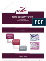 Tejido Conectivo Laxo