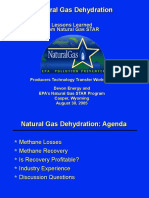 4 Natural Gas Dehydration