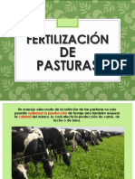 Fertilizacion de Pasturas