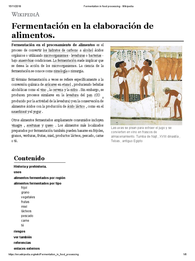 Fermentation in Food Processing Wikipedia PDF Levadura Fermentación