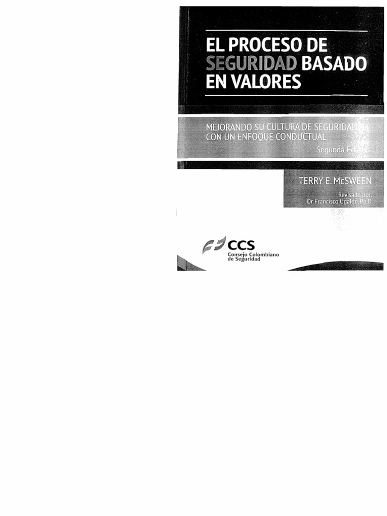 Proceso Seguridad Basado Valores TERRY McSWEEN | PDF