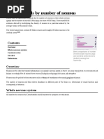 List of Animals by Number of Neurons