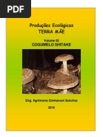 Producao Do Shiitake e Hiratake