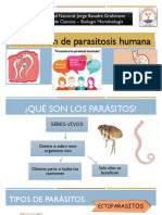 Prevención de Parasitosis Humana