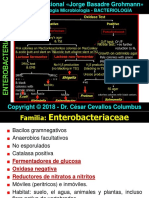 Familia Enterobacterium