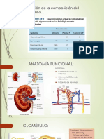 Fisiología Renal