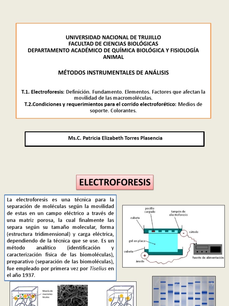 Fundamentos de la Electroforesis | PDF | Electroforesis | Química
