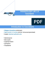 2021 Parasitology Lab Coccidians