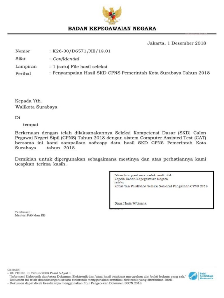 Pengumuman Sscn 2024