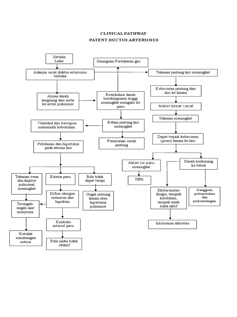 Patofisiologi Patent Ductus Arteriosus | PDF