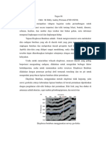 Tugas - 08 - F1D116038 2 2 2 PDF