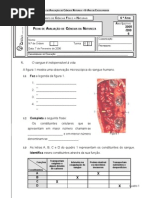 Sistema Circulatório 2005_06