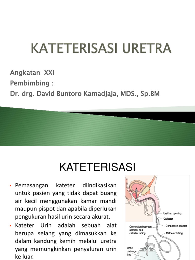 Panduan Kateterisasi Medis | PDF