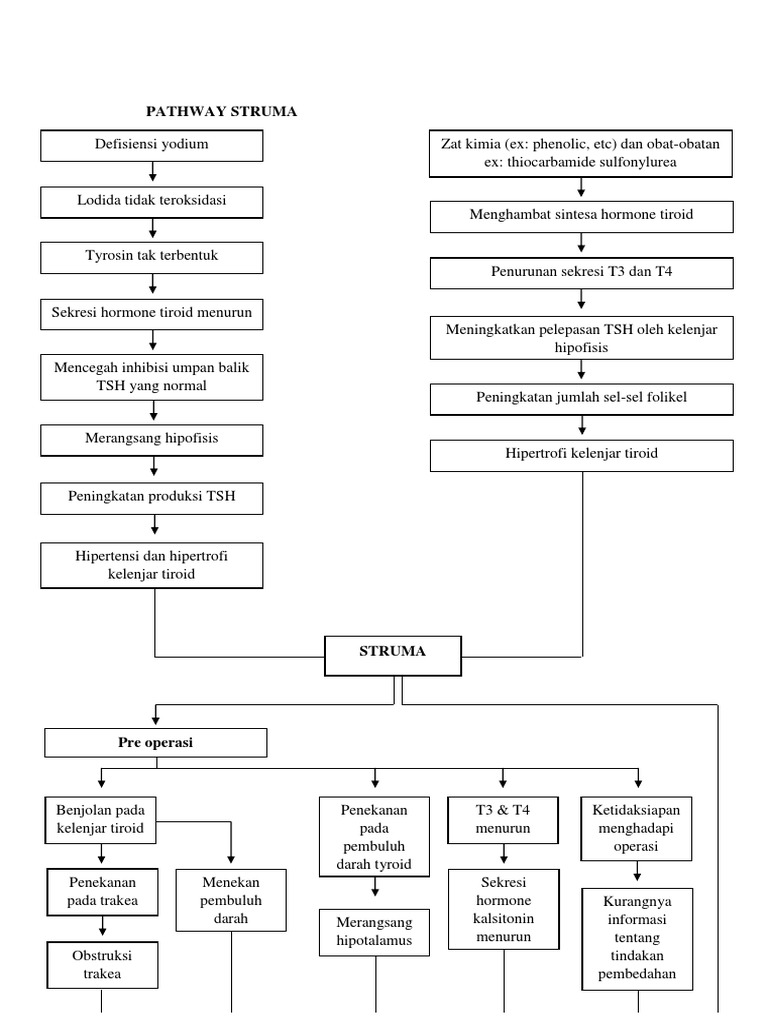 Pathway Struma Nodusa Non Toksik | PDF