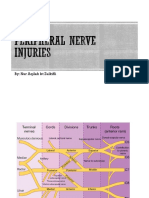 Peripheral Nerve Injuries