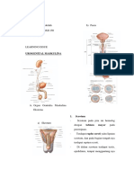 Learning Issue