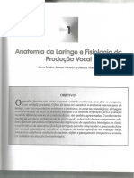 Voz o Livro Do Especialista Mara Behlaupdf PDF