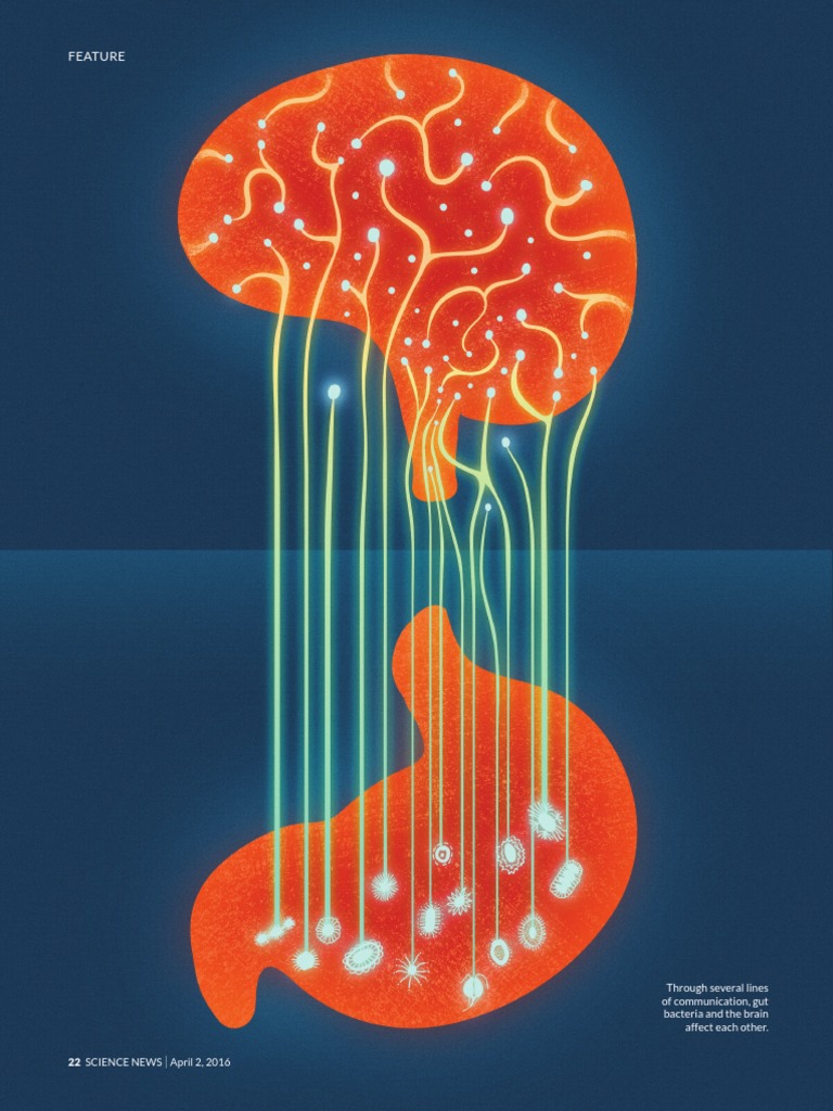 Microbes and The Mind | PDF | Brain | Neurotransmitter