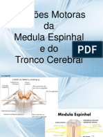 Funções Motoras Da Medula Espinhal e Do Tronco Cerebral
