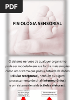 Órgãos dos Sentidos - Fisiologia