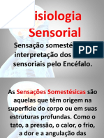 Fisiologia Sensorial