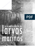 Larvas Marinas y Oceanografia