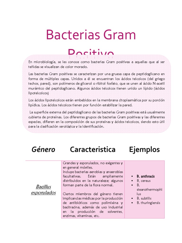 Clasificación de Bacterias Gram Positivas | PDF | Bacterias Gram ...