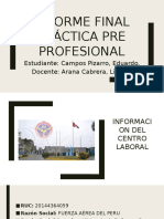 Informe Final Práctica Pre Profesional